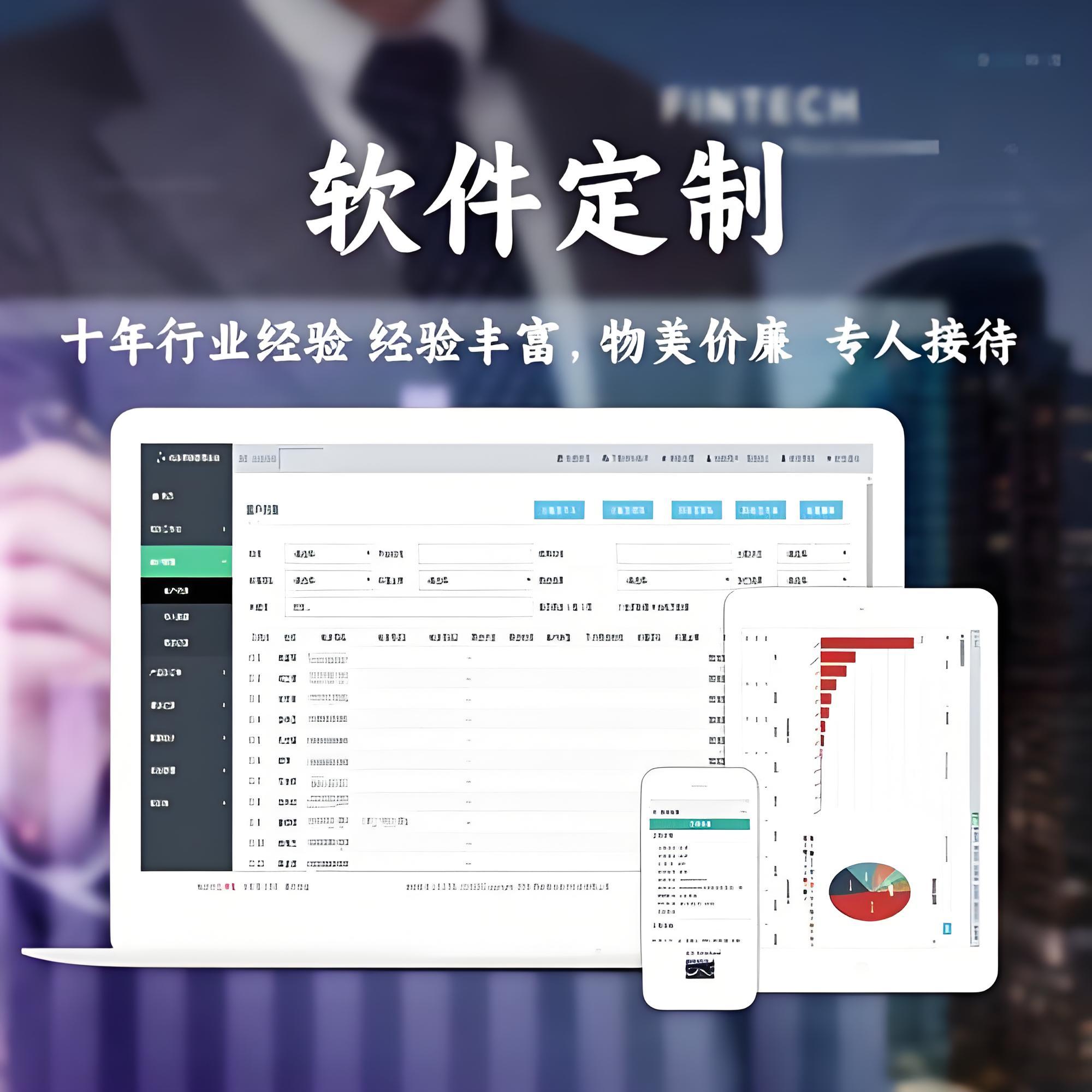 软件系统开发 从构想到实现的全过程解析